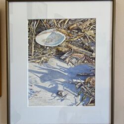 Diane Orzel - Seaside Shadows - Local Artist Gallery