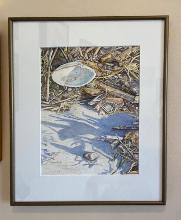 Diane Orzel - Seaside Shadows - Local Artist Gallery