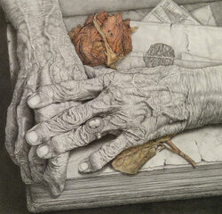 Pressed for Time by Barbara Morse