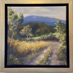 Monadnock Afternoon by Betty Glass